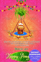 Pink theme Pongal Greeting Card