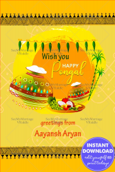 Yellow theme Pongal Greeting Card