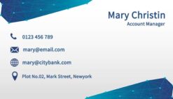 White and Blue Theme Networking Business Card with White Parallax Lines