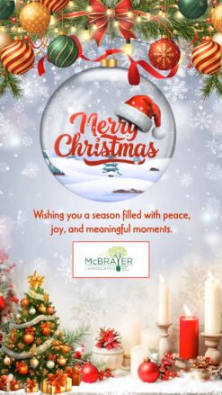 Snow Globe Ornament Corporate Christmas Greeting Video with Santa Decor