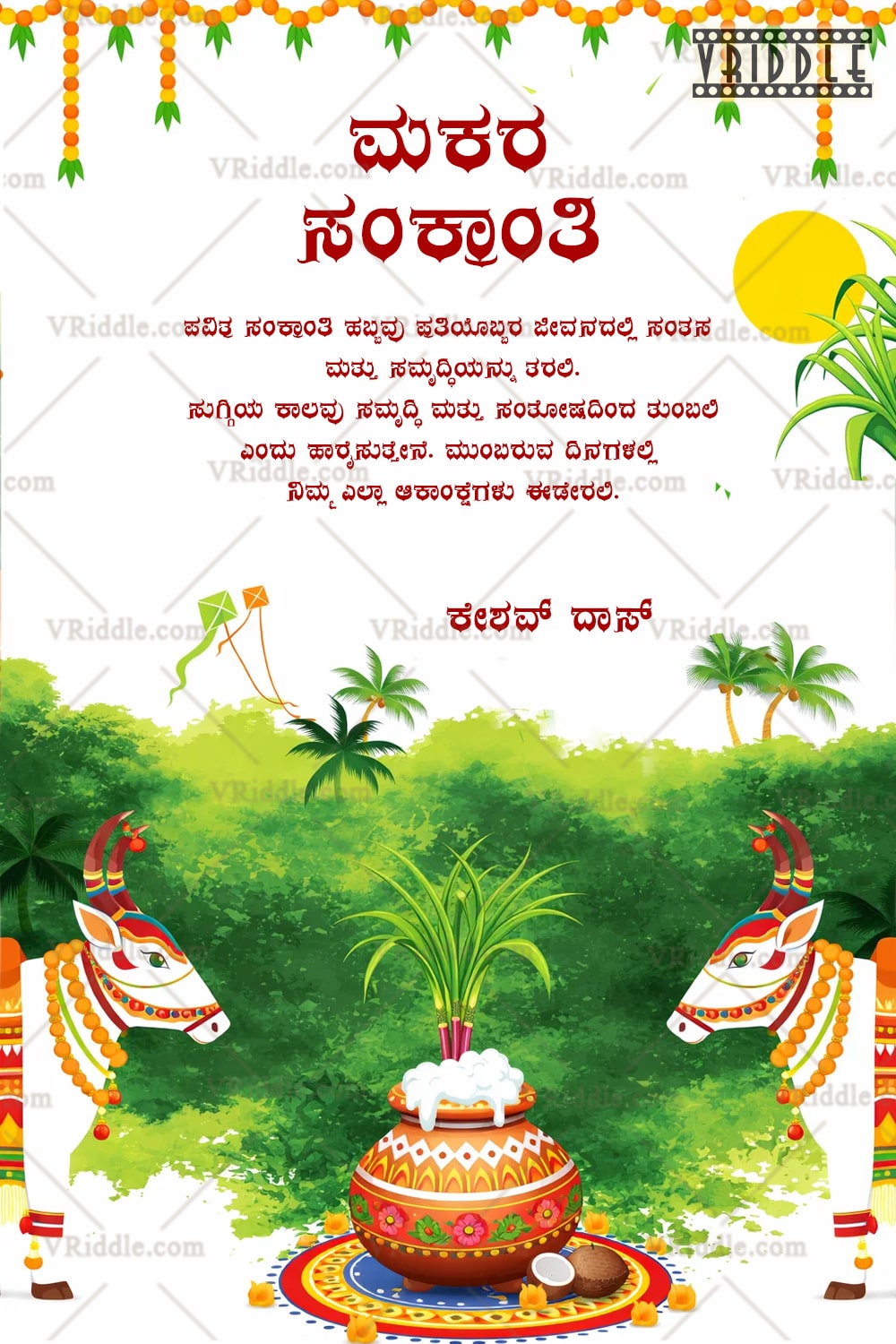 Sacred Cows Makara Sankranti Kannada Card with Sugarcane Pongal Pot and Green Harvest Landscape