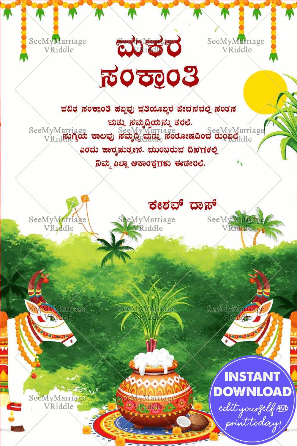 Sacred Cows Makara Sankranti Kannada Card with Sugarcane Pongal Pot and Green Harvest Landscape